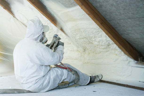 Best Insulation for New Construction  in Ridgeland, SC