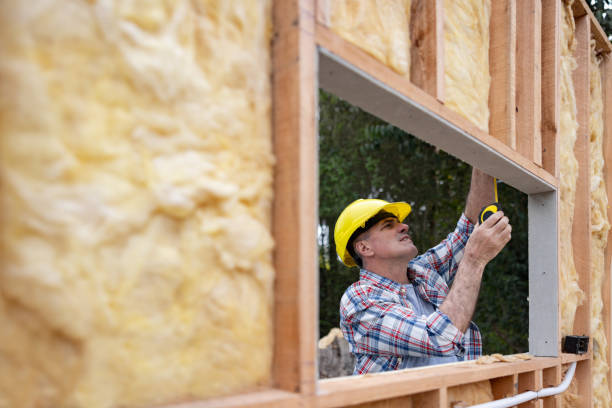 Best Blown-In Insulation  in Ridgeland, SC